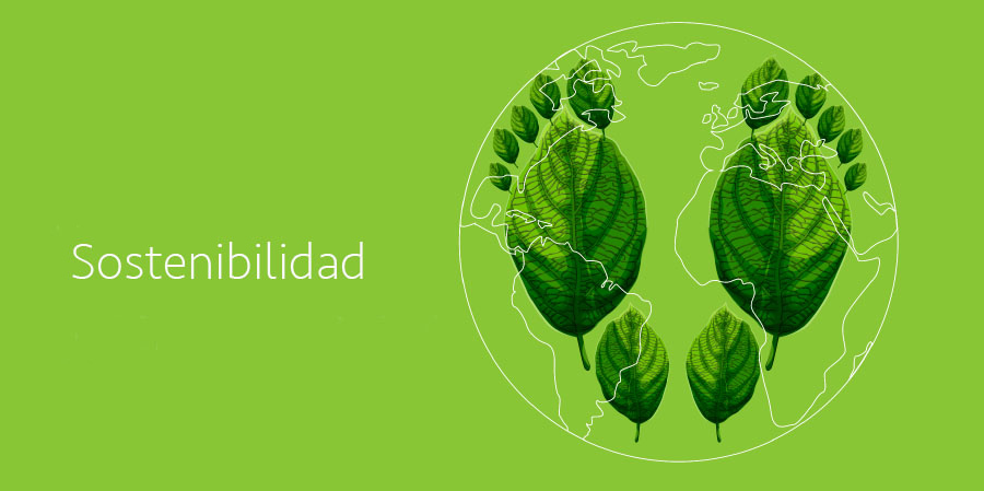 sostenibilidad