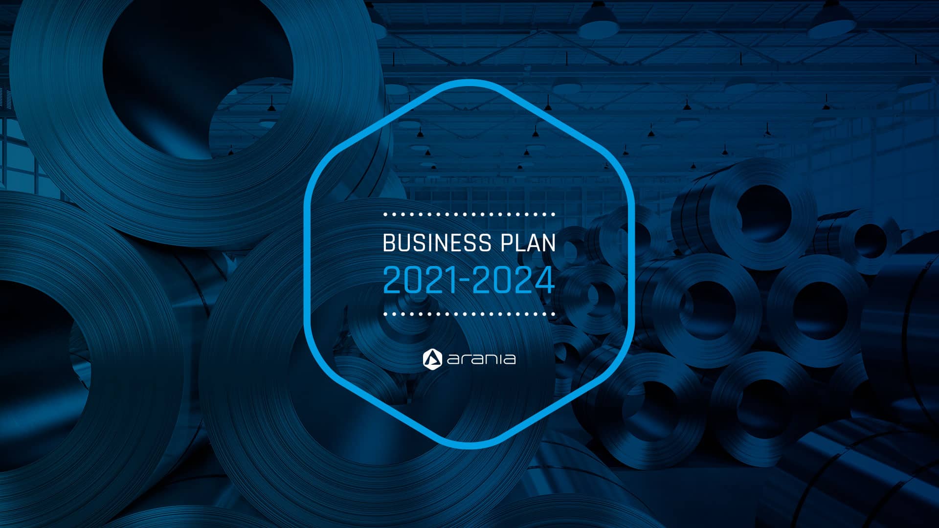 Business-Plan-ARANIA