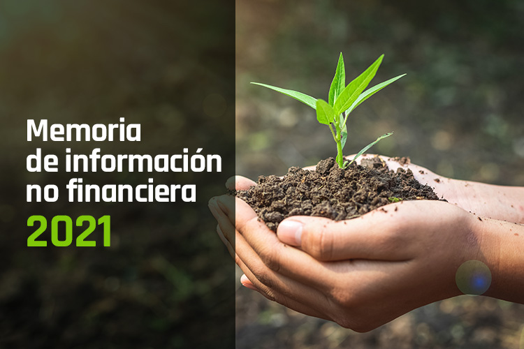 memoria-informativa-no-financiera memoria-informativa-no-financiera