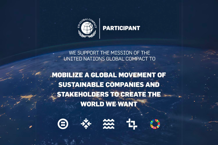 imagen destacada arania arania participante del global compact de la onu